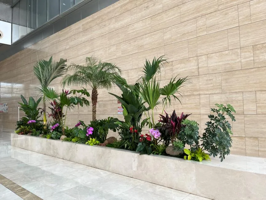 解析宁波前湾植物租赁哪家好，别错过此文！